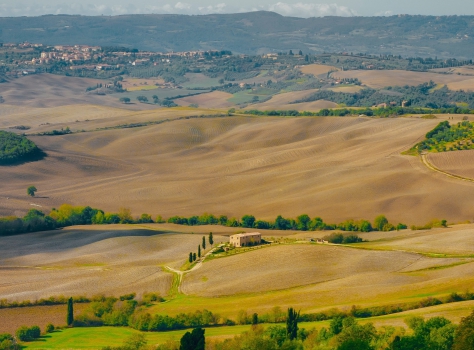 Montepulciano